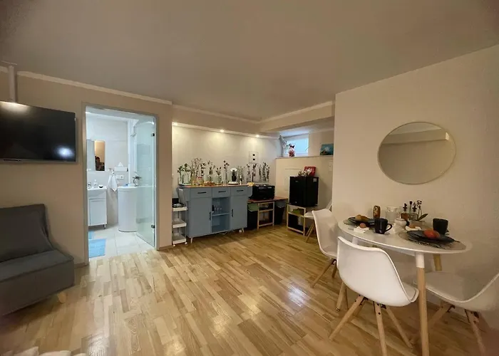 Oase, House Floor, Fitness, Garden, Jacuzzi, Close To Subway U1 Viena